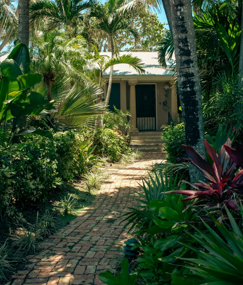 Landscape inspiration: a sunlit garden path surrounded by palms and lush tropical planting in Key West.